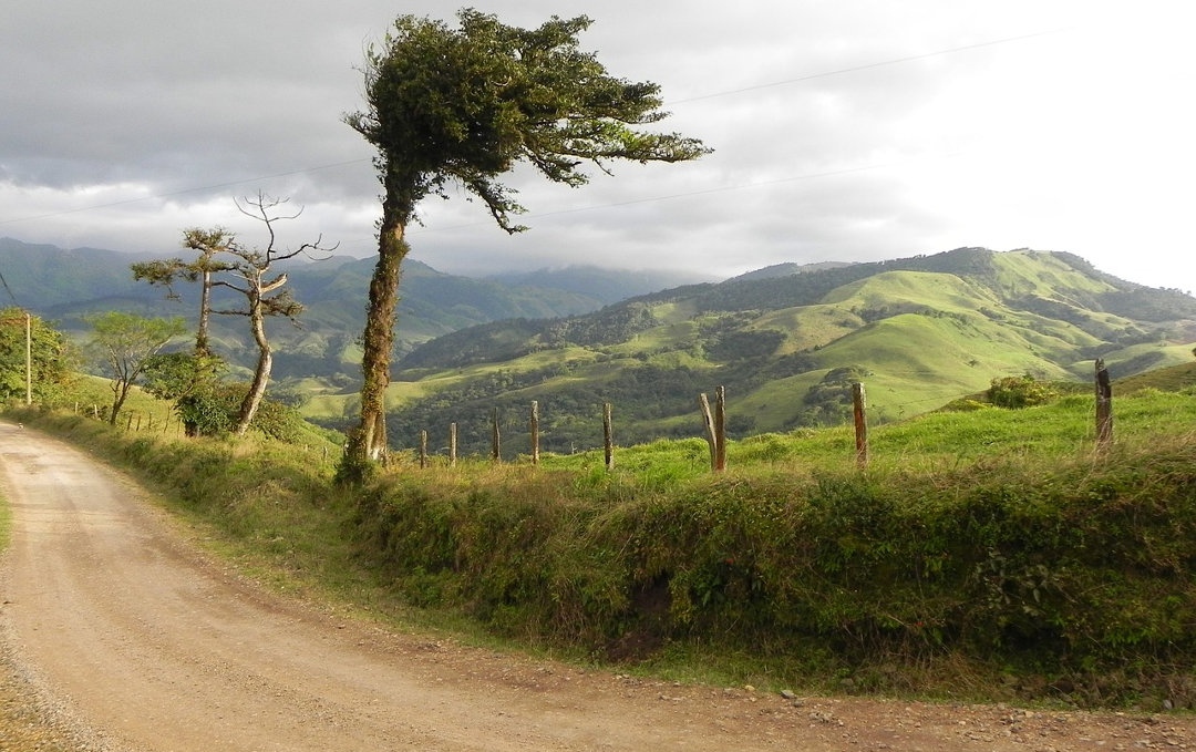 rica costa landscape tree road choosing decisions rental vacation uptourist terrain important access pixabay mountain